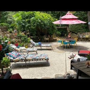 Meet your Posher, Tish